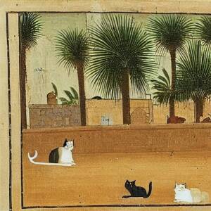 cats in a walled yard under a palm tree in Iraq as painted in the 14th century by Rashid-ad-Din's Gami' at-tawarih